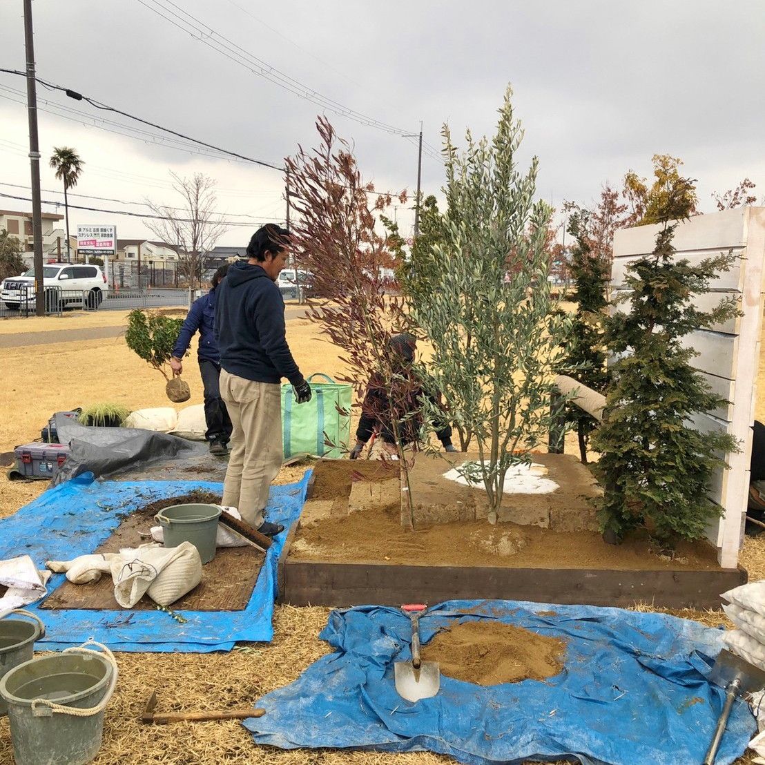 バレンタインガーデン作庭
