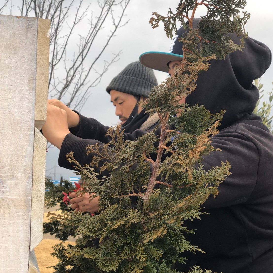 バレンタインガーデン作庭